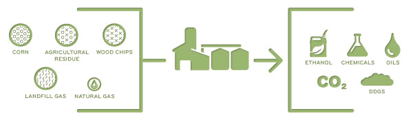 Biorefinery of the Future