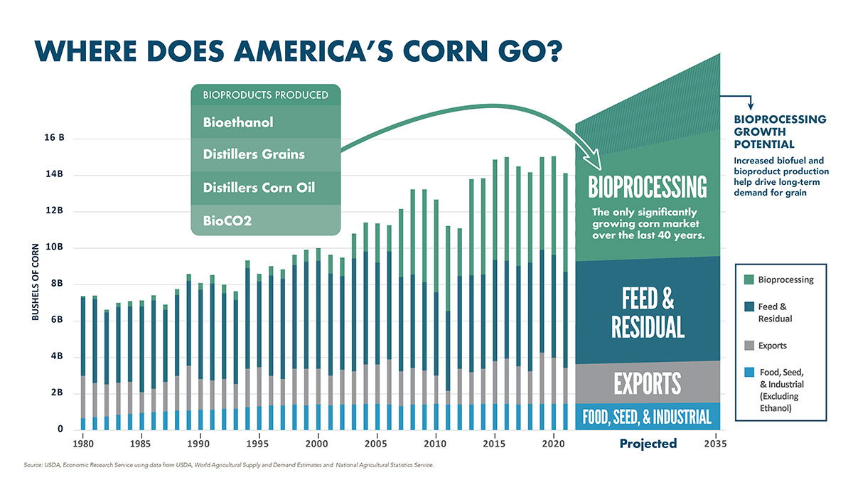 Where Does America's Corn Go