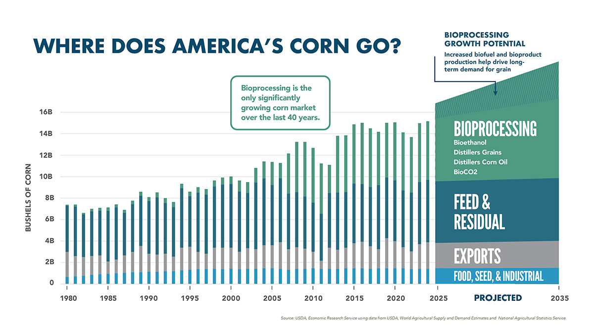Where Does America's Corn Go