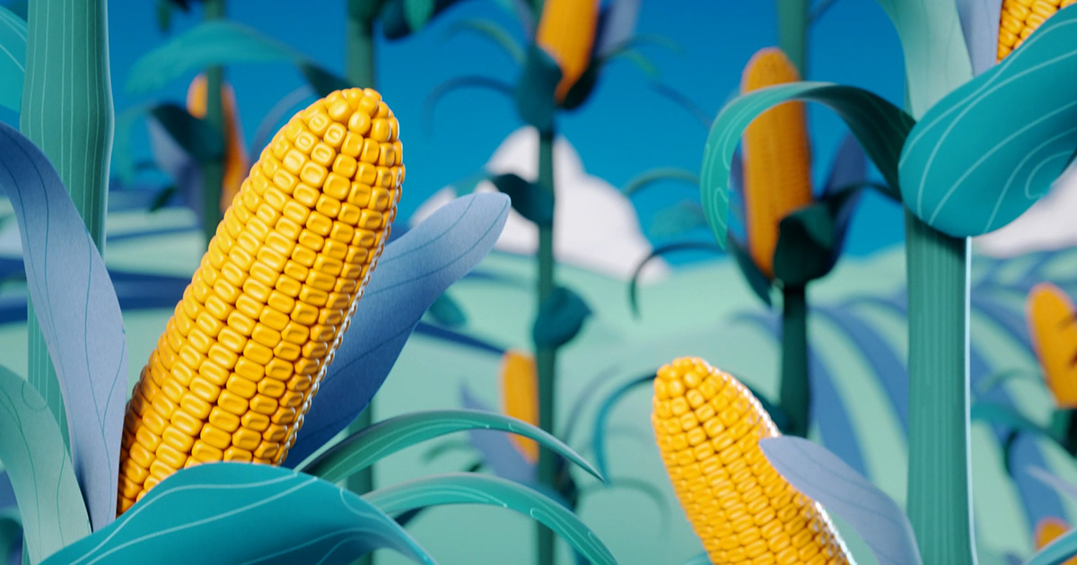 How We Make Bioproducts - Video