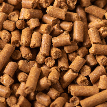 Pro Pellets
